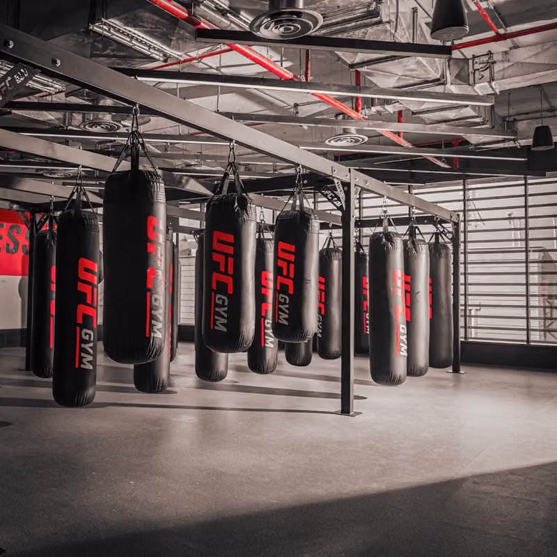 UFC gym