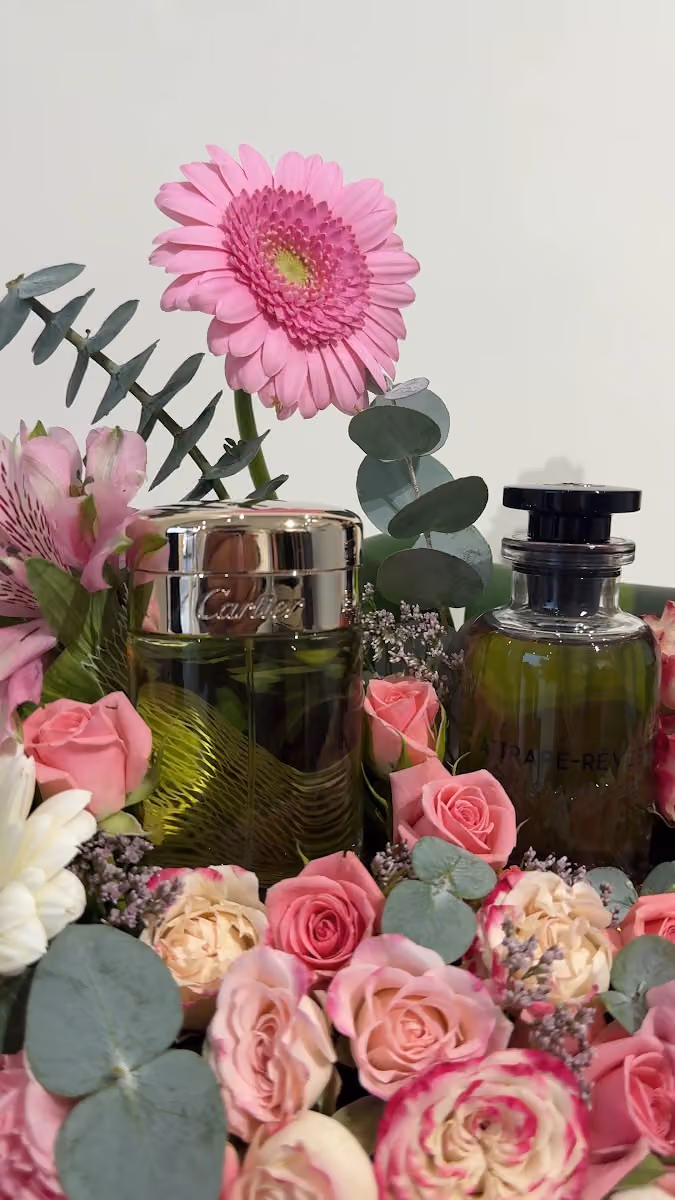 VELLORA GIFTS - فيلورا جفتس