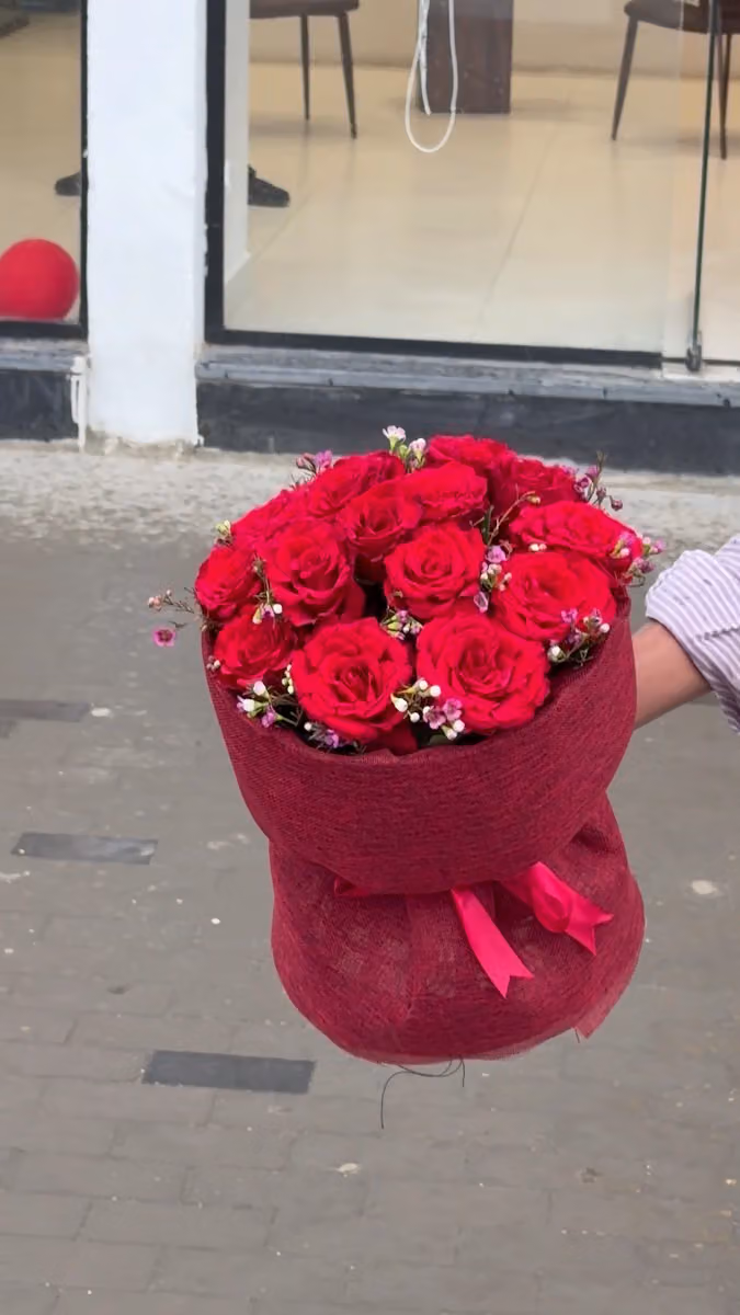 Vellora rose