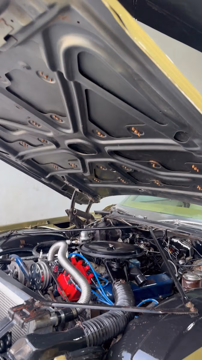 Vspec Auto care مركز العناية وتلميع السيارات