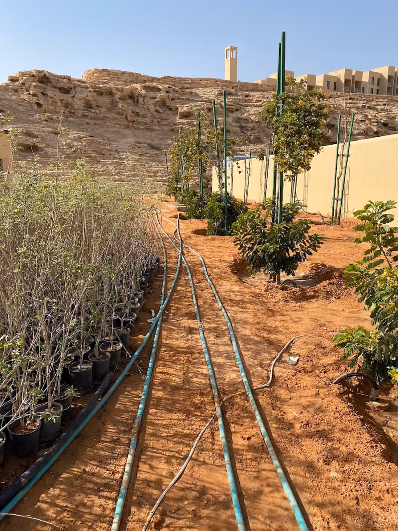 Wadi Al Hada Resort