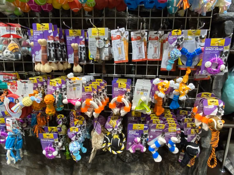 Pets Oasis