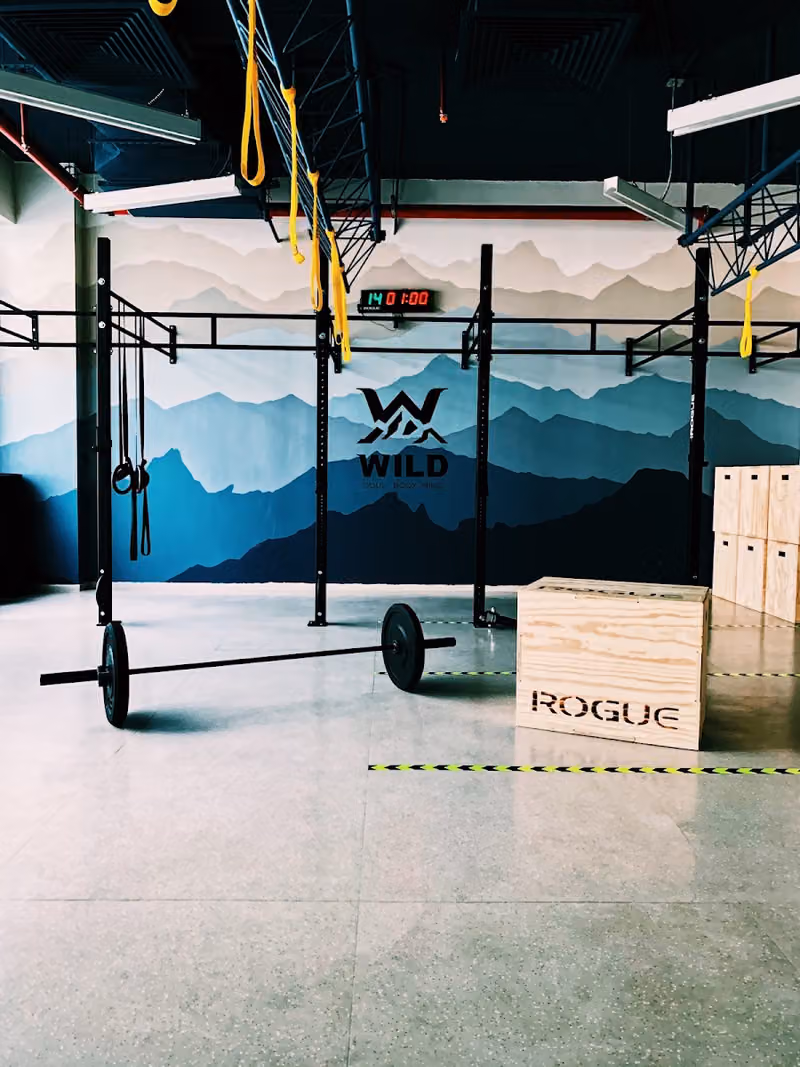 WILD Gym Studio