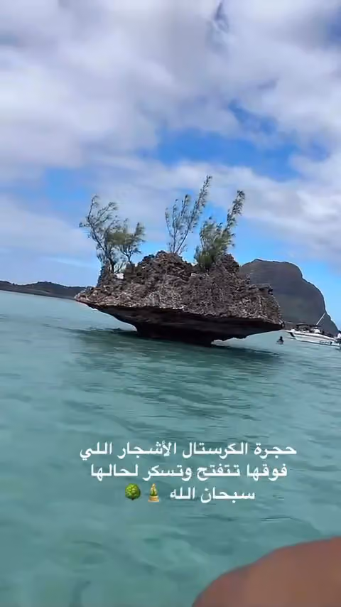 وكالة علا العالم للسفر والسياحة
