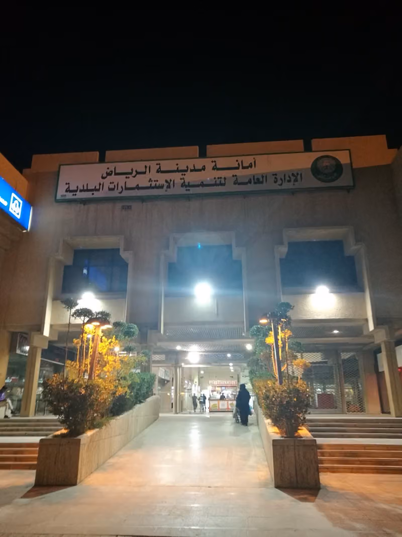 وكالة الاستثمار و التخصيص