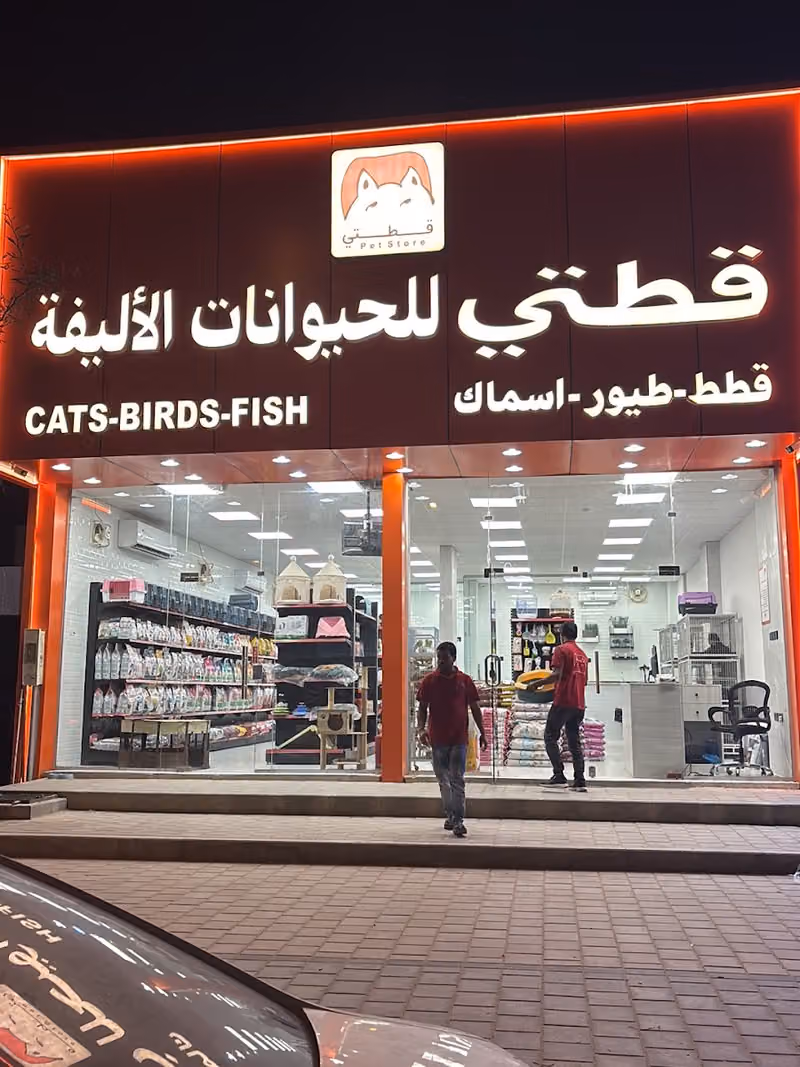 وكالة جــودة الحروف