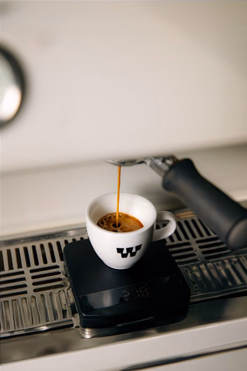 Wooden Coffee | وودن كوفي