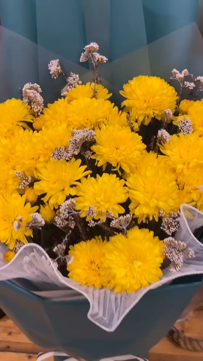 ورد قاف - flower Qaf