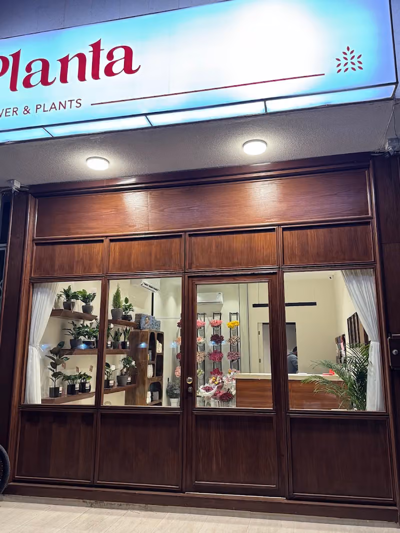 ورد و نباتات بلانتا Planta