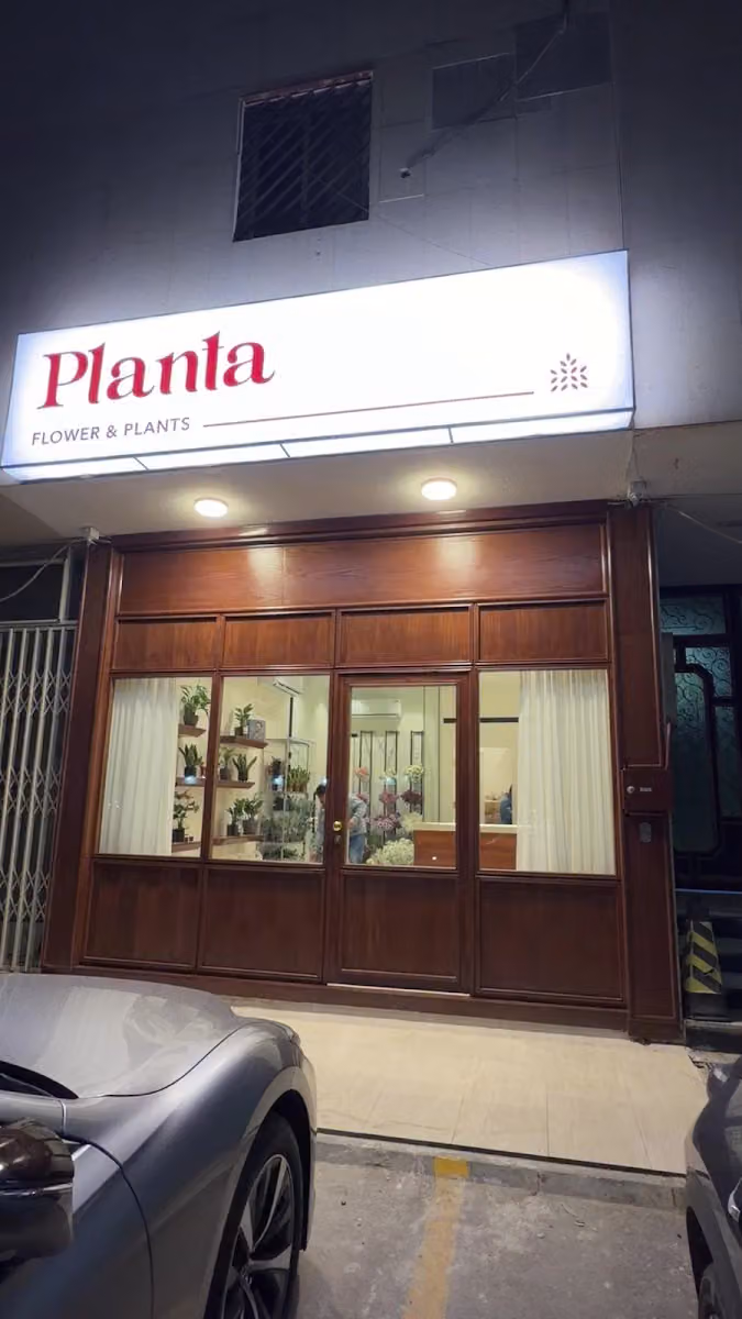 ورد و نباتات بلانتا Planta