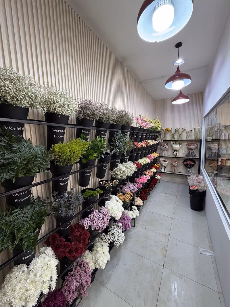 ورد زيزو فلاورز ZIZOFLOWERS