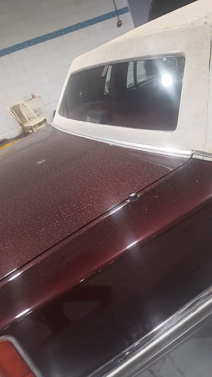 ورشة بشائر العنزي