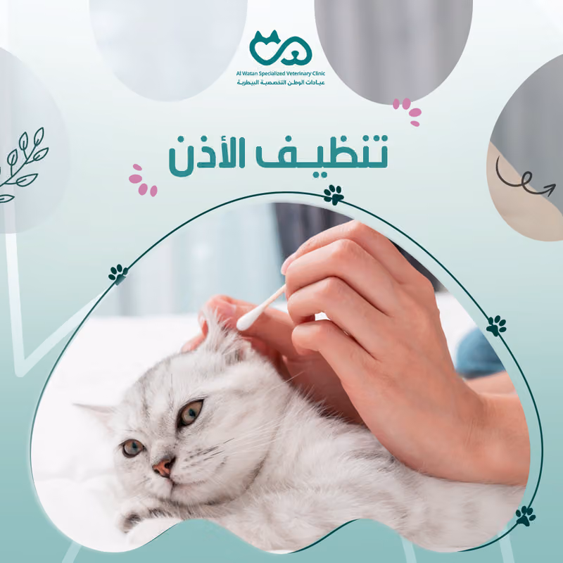 ( WSVC ) عيادات الوطن التخصصية البيطرية