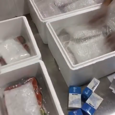 Fish Day