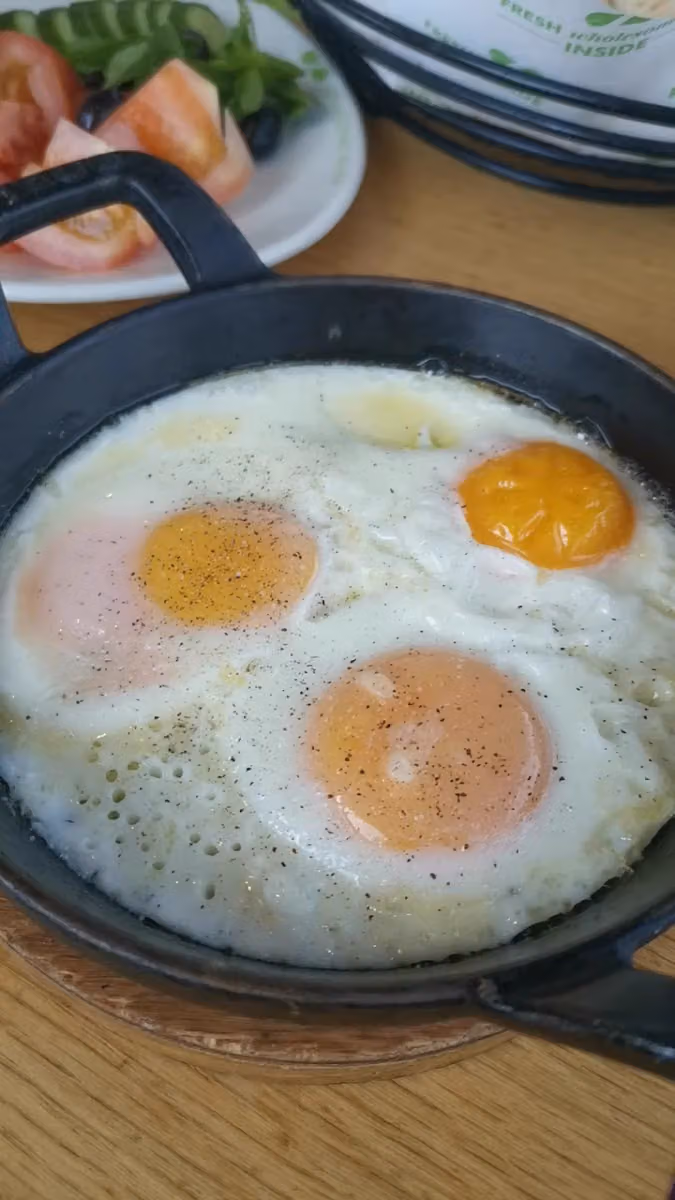زعتر وزيت