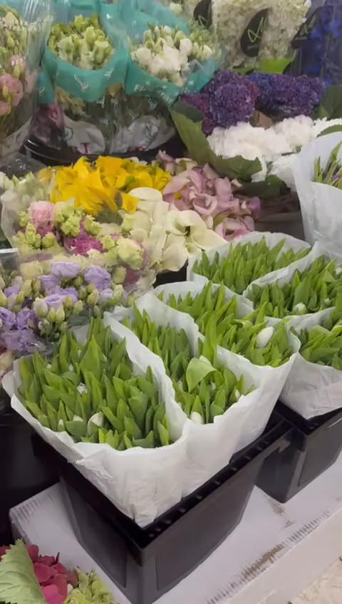 زهور الفصول الأربعة فور سيزونز فلورز Four seasons flowers