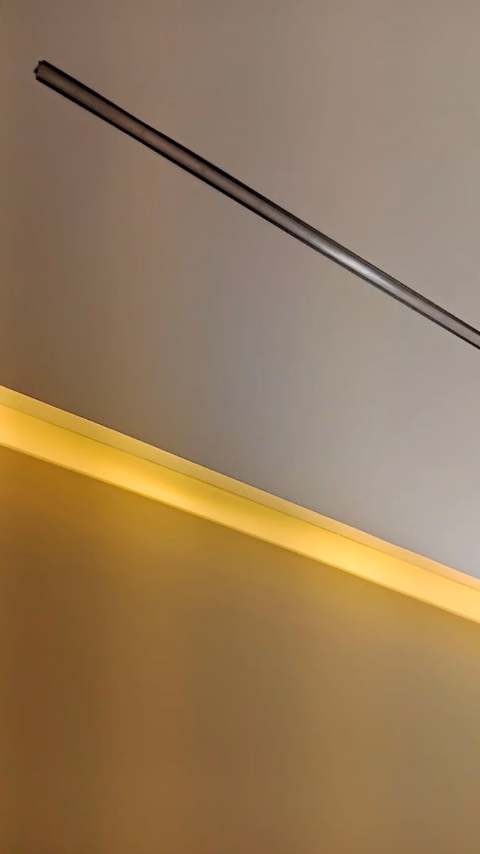 زمان كهربائي، سباق Electration service