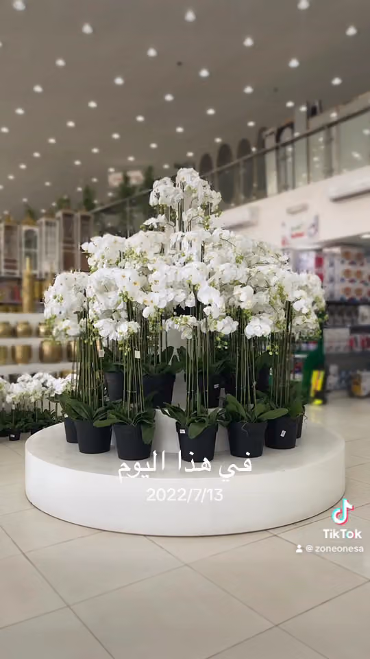 زون ون