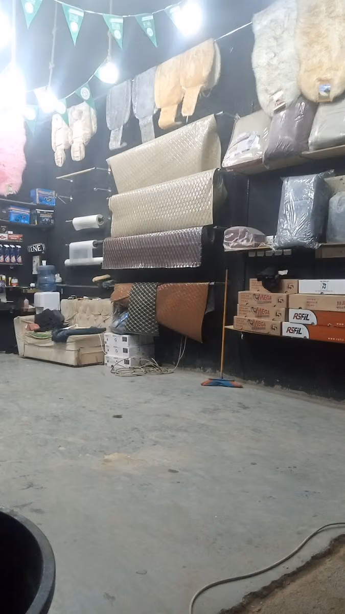 زينة وتنجيد وتضليل وتعبئة فريون